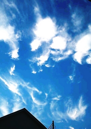 まき雲.jpgのサムネール画像