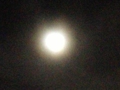 ﾐｰﾃｨﾝｸﾞ6月.jpg