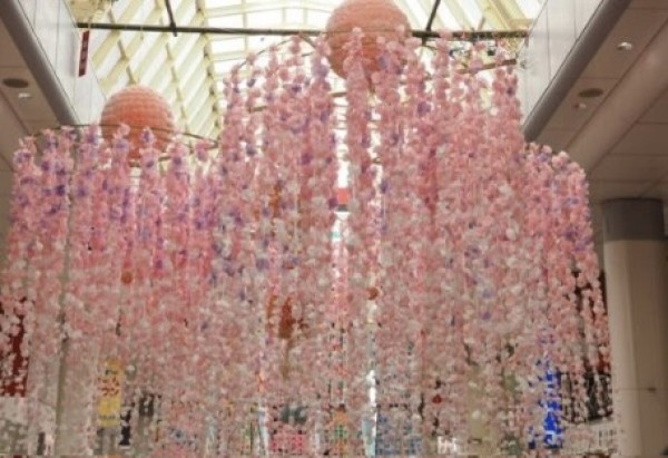 七夕の日に思った事