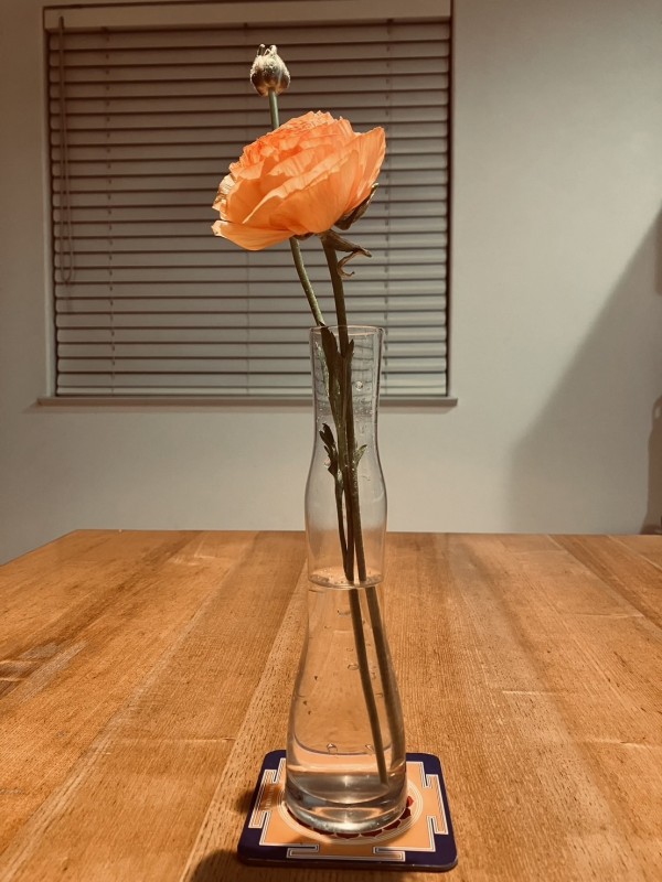 「天使のメッセージ」(裏)