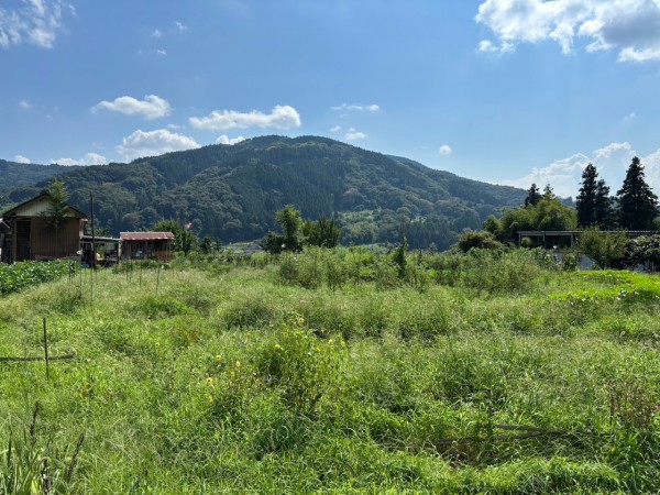 畑仕事のお手伝い募集中！